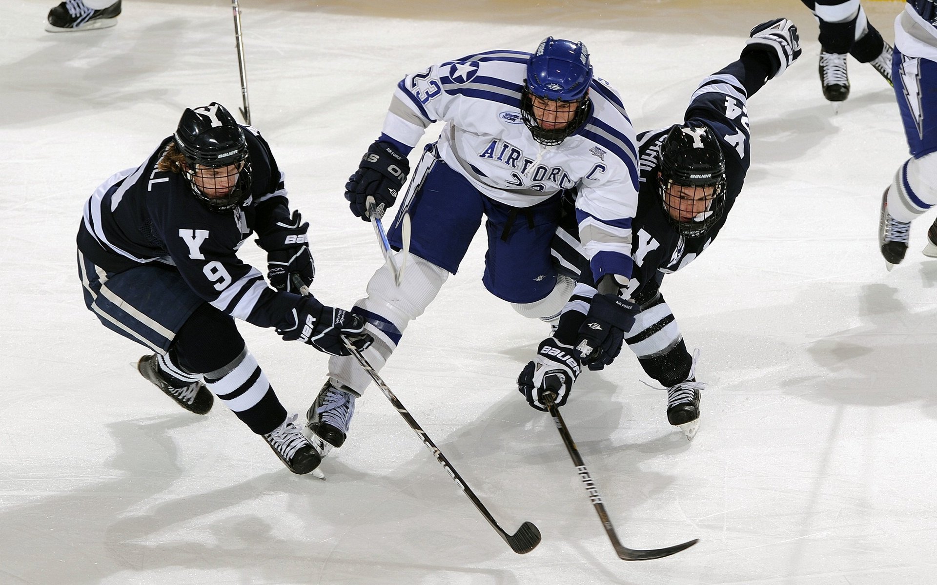 中小学篮球比赛观摩机制启动为体教融合搭建常态桥梁，中小学生篮球比赛方案