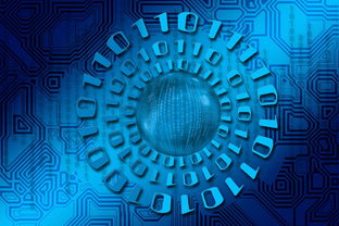 大数据应用助力训练科学管理，大数据在训练管理中的应用